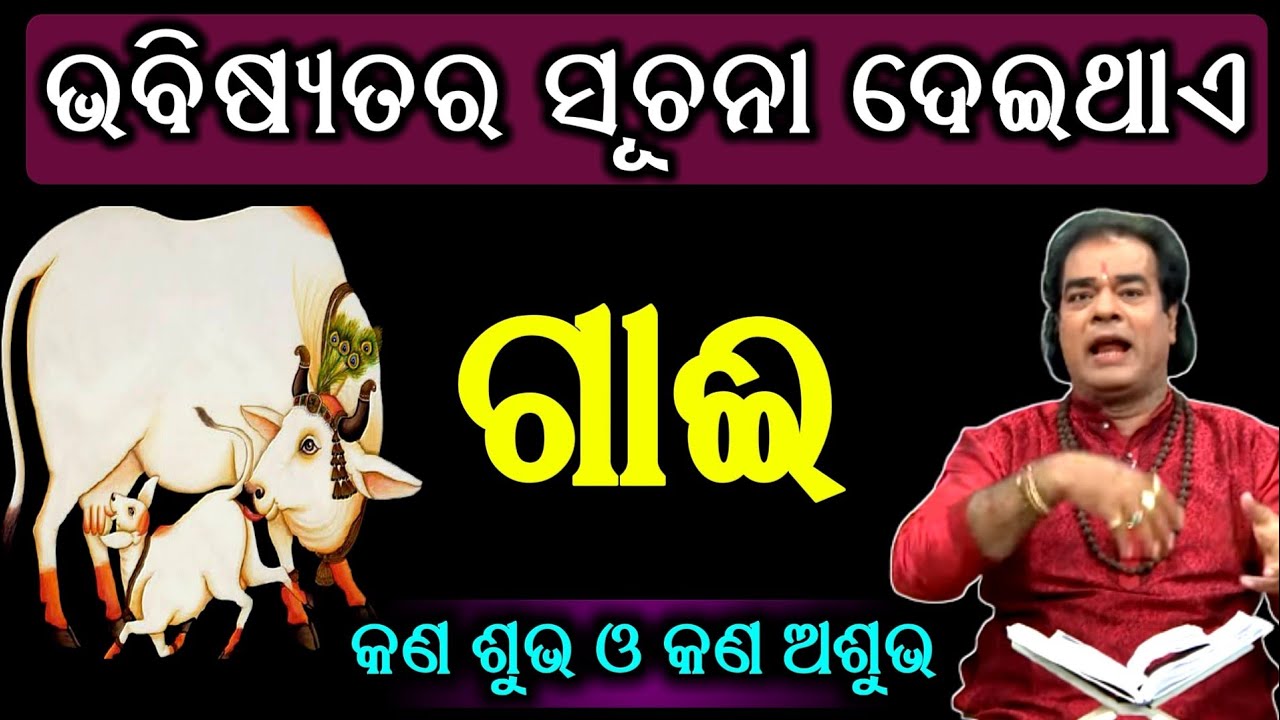 ଗାଈ କହିଥାଏ ଆପଣଙ୍କର ଭବିଷ୍ୟତ || କଣ ଶୁଭ ଓ କଣ ଅଶୁଭ || Sadhu Bani ||