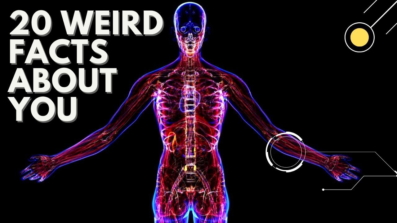 20 Shocking Facts About Humans You’ve NEVER Heard Before