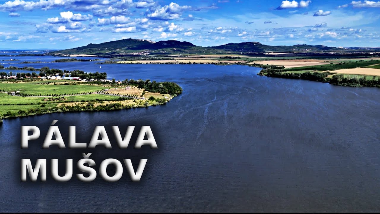 NOVÉ MLÝNY MUŠOV 461 026 - Dyje 7 Last carp fishing video #fishhobo #palava