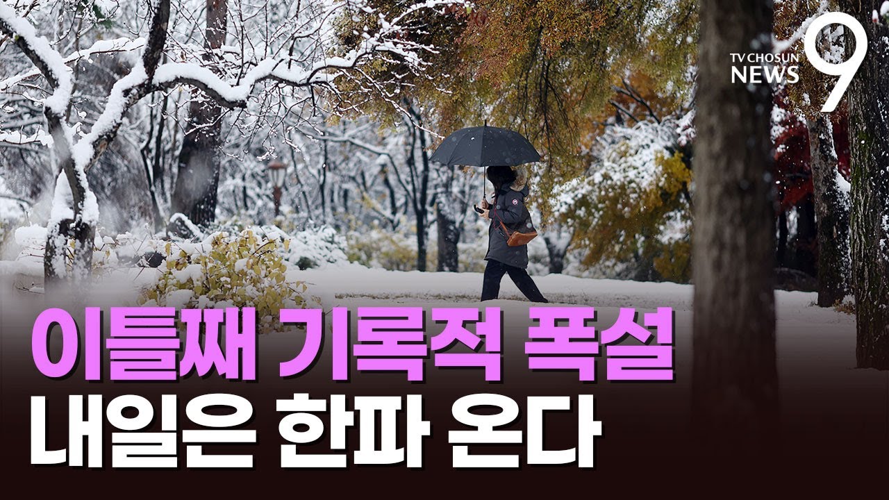 서울 관악에 눈 41㎝ 쌓였다…29일 수도권 체감 '-10도' [뉴스9]