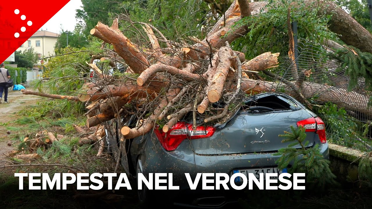 Maltempo in provincia di Verona, violenta tempesta su San Bonifacio: “Cosa mai vista in 30 anni”