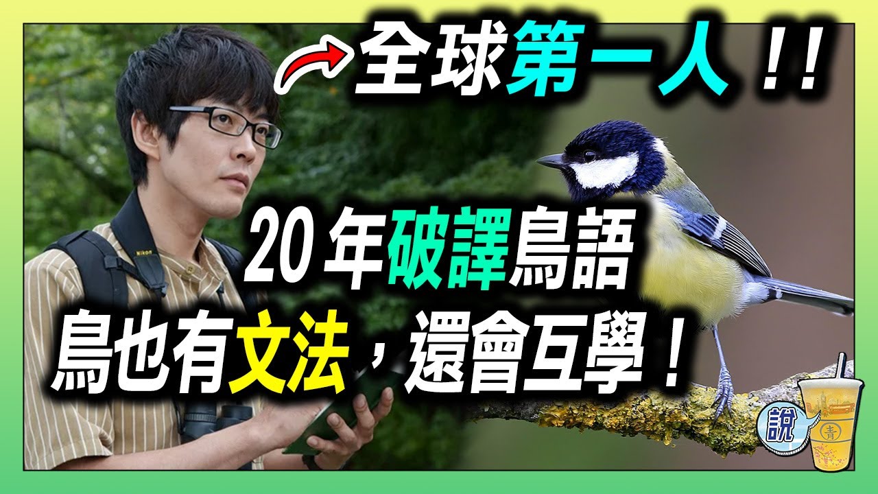 研究 20 年，他聽懂了鳥語！/ 鳥也有文法錯誤？順序一改就聽不懂！/  鳥類也能互相學語言！？ | 青茶說
