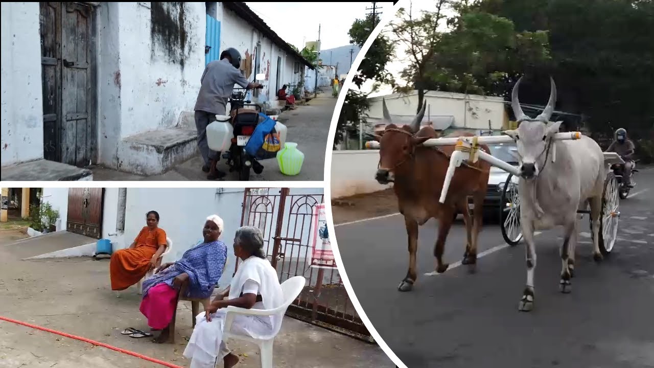 തമിഴ് ഗ്രാമത്തിലൂടെ ഒരു സായാഹ്‌ന നടത്തം || Ettimadai Village || Coimbatore