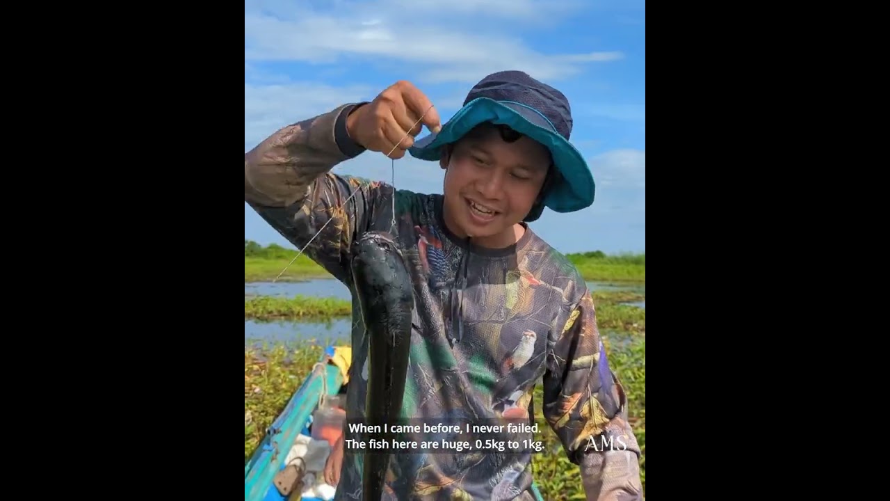 នាំបងប្អូនមកដើរលេងពីថ្ងៃដល់យប់ជុំវិញបឹងទន្លេសាបជាមួយយើងទាំងអស់គ្នា