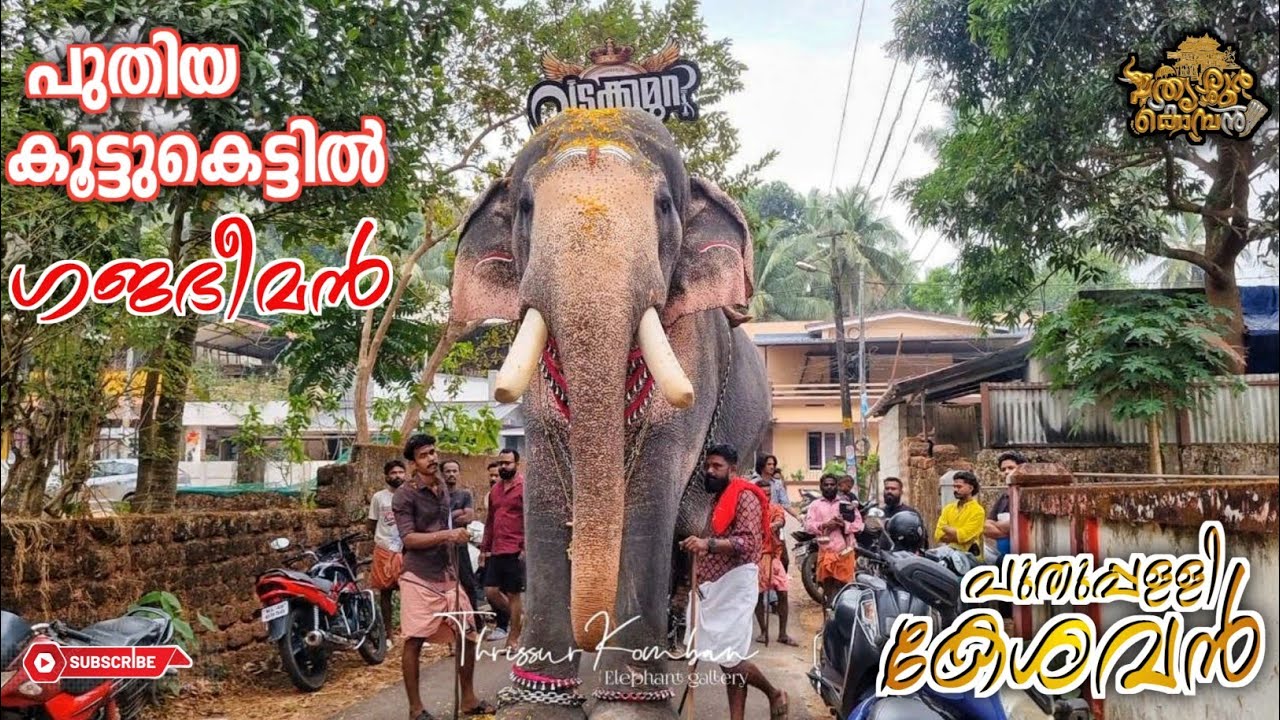 പുതുപ്പള്ളി കേശവന് പുതിയ രണ്ടാമൻ? അനീഷിന് പകരക്കാരൻ  കൂട്ടുകെട്ടിൽ ചിറവരമ്പത്ത്ക്കാവിൽ എത്തിയപ്പോൾ 