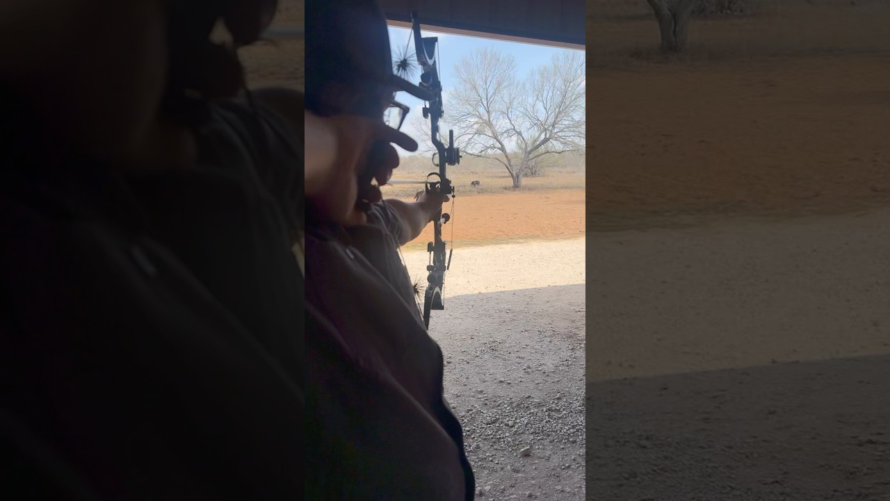 Oneida phoenix vs Hoyt Z1S!