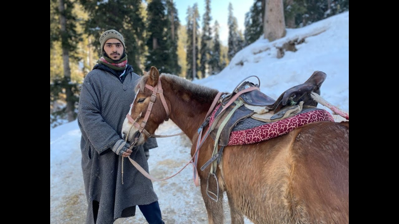 Don't miss the epic adventure | Pony Ride in Kashmir | Horse Ride in Pahalgam | Baisaran Valley