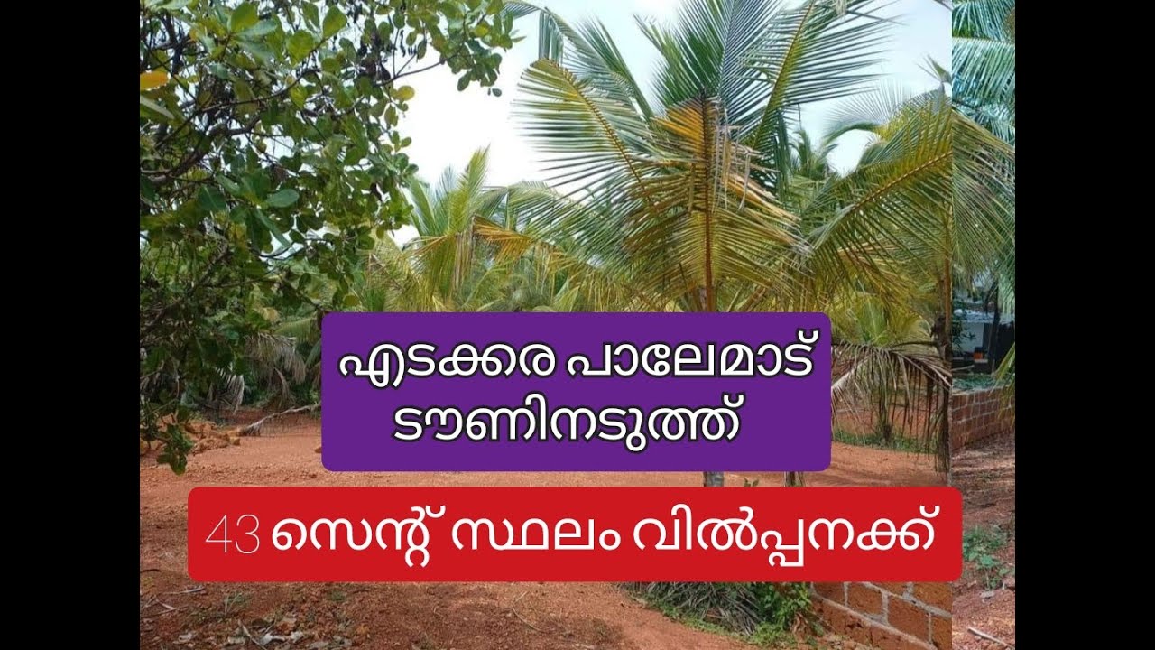 എടക്കര പാലേമാട് ടൗണിനടുത്ത്  43 സെന്റ് സ്ഥലം വിൽപ്പനക്ക്.. land for sale in edakkara,palemmadu, plot