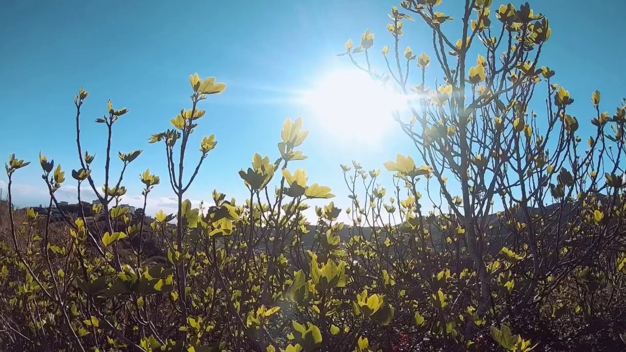 Ruta circular Lanzarote - Degollada de Las Palomas. Gran Canaria 2019