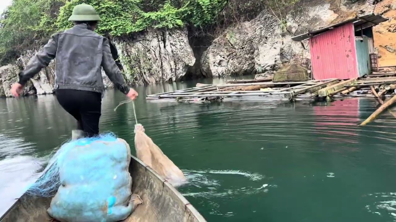 Đi Thăm Lưới trời mưa    Được toàn cá rô ￼￼