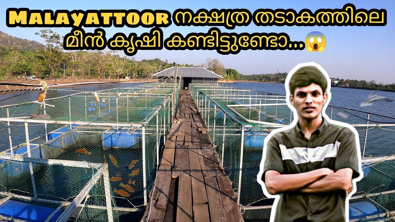 MALAYATTOOR നക്ഷത്ര തടാകത്തിലെ മീൻ കൃഷി കണ്ടിട്ടുണ്ടോ 😱 | SAHI LSAKKEER | #fishing #beauty #travell