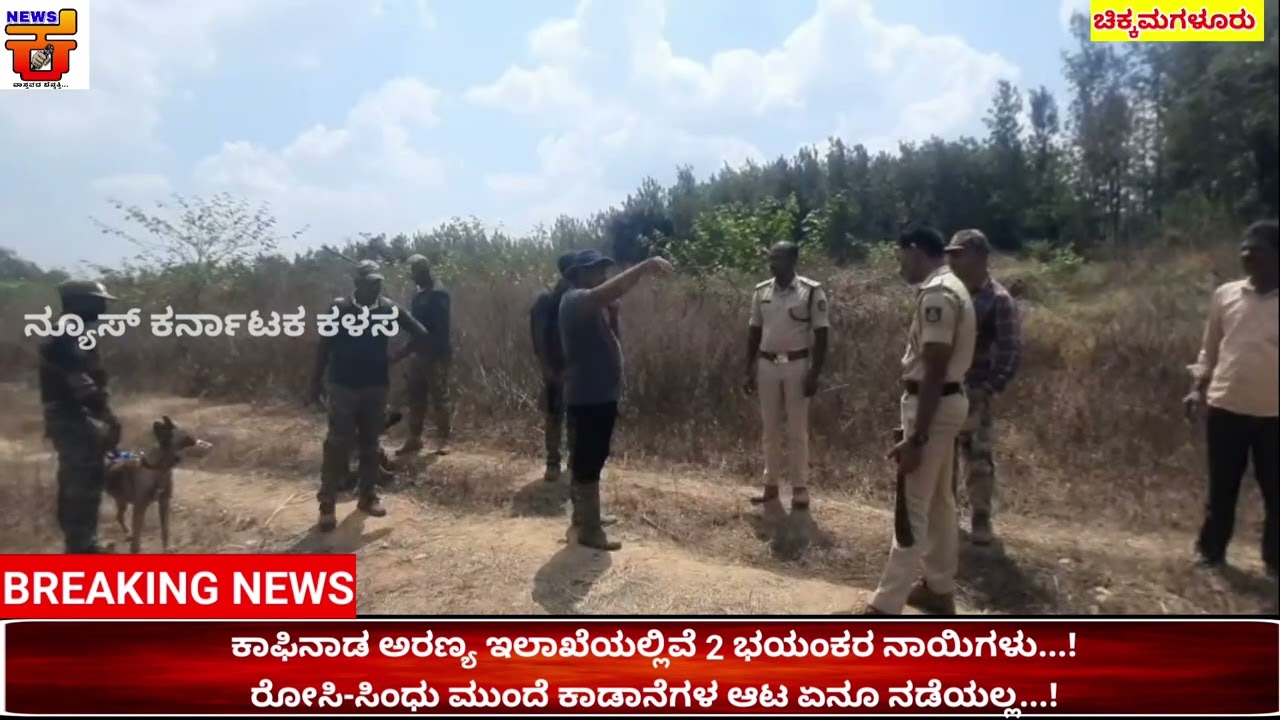 ಕಾಫಿನಾಡಲ್ಲಿ ಮಿತಿ ಮೀರಿದ ಕಾಡುಪ್ರಾಣಿಗಳ ದಾಳಿ ಪ್ರಕರಣಕಾಡುಕೋಣ ತಿವಿದು ವ್ಯಕ್ತಿಯ ಸ್ಥಿತಿ  ತೀವ್ರ ಗಂಭೀರ ಗಾಯ...