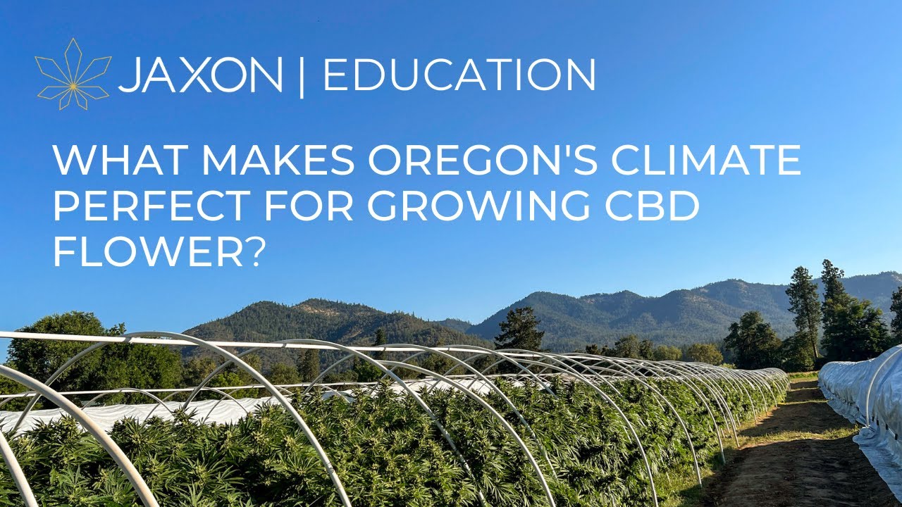 What Makes Oregon's Climate Perfect for Growing CBD Flower?