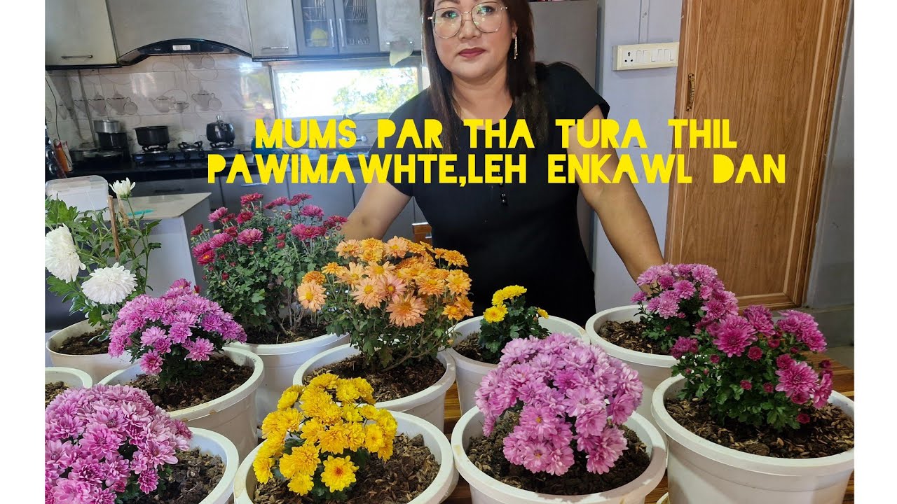 THLAHNIH chhungin mums atriak, ka enkawl par chhoh dan ka lo hrilh  che u