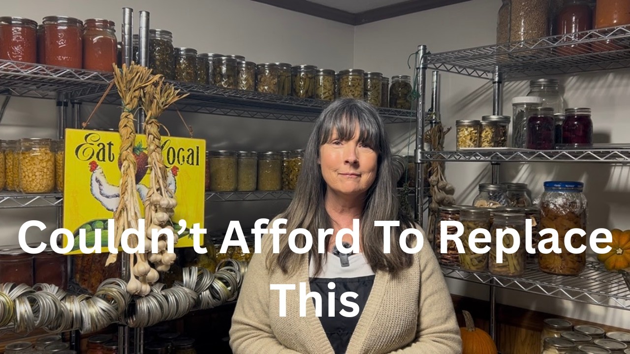 Мои запасы продуктов спасли нас этой зимой! (Вегетарианский сад/комнатное садоводство)