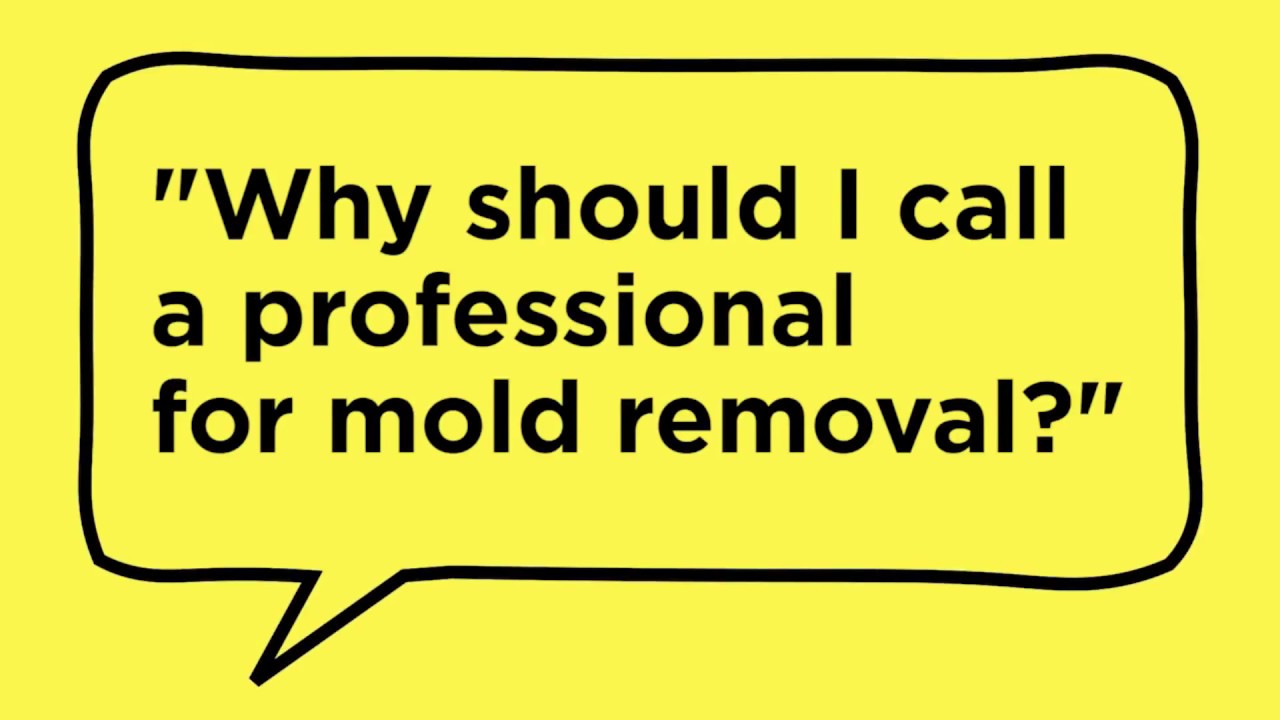 Mold Remediation ServiceMaster San Francisco