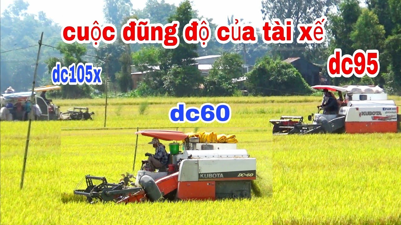 amazing XEM CÀNH CUỘC ĐỤNG ĐỘ MÁY CẮT LÚA KUBOTA DC60 AI SAO MÌNH VẬY