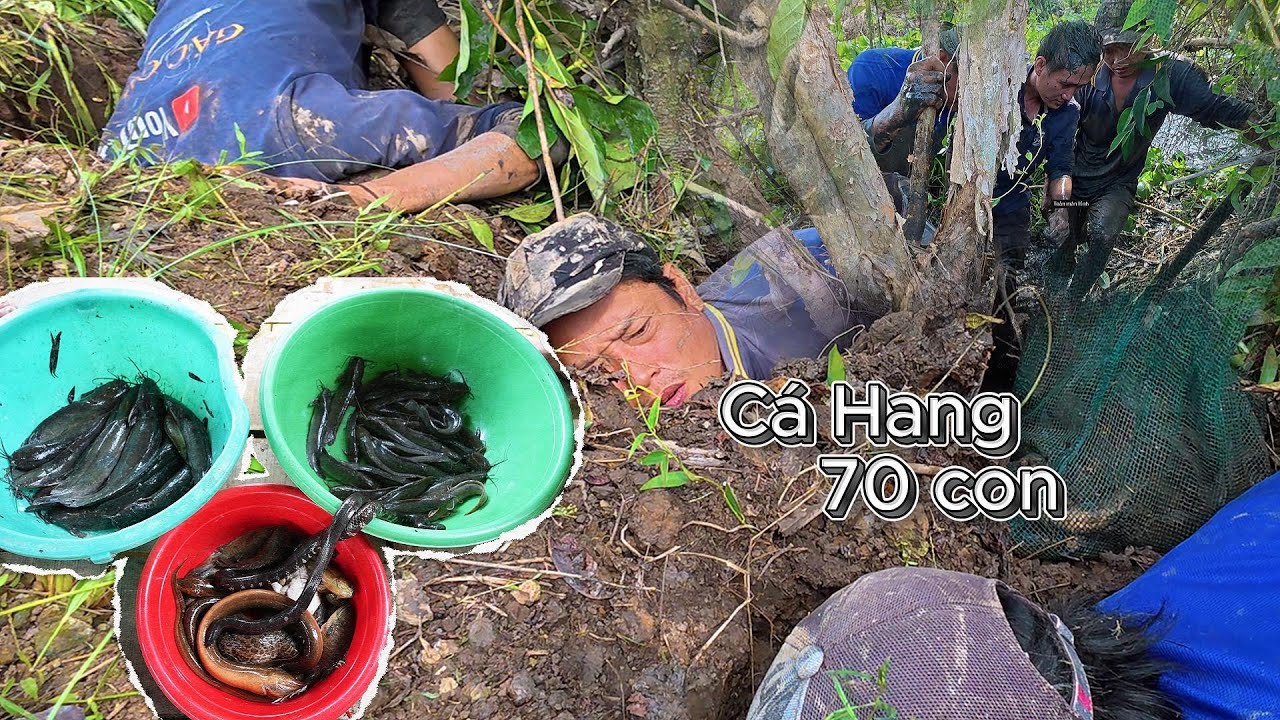 Kinh Cạn Trong Hang 70 Con Cá | Gấc Quê