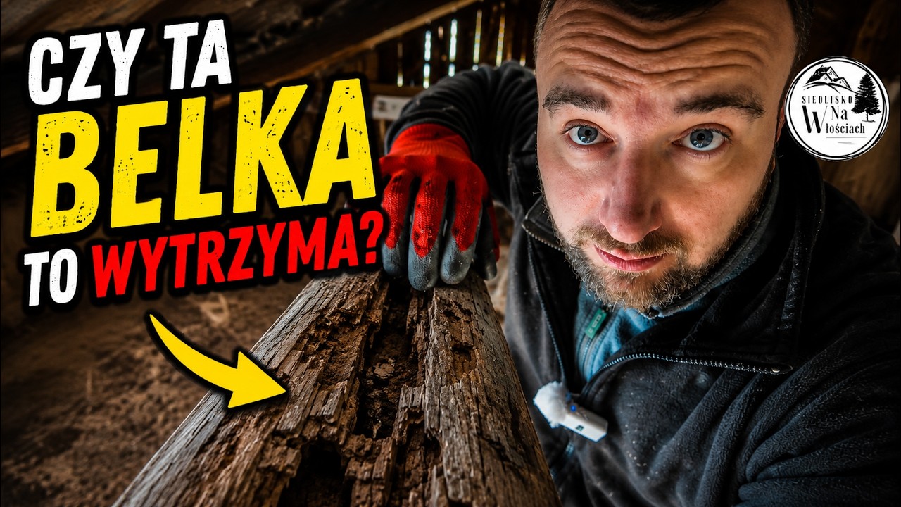 Siedlisko 