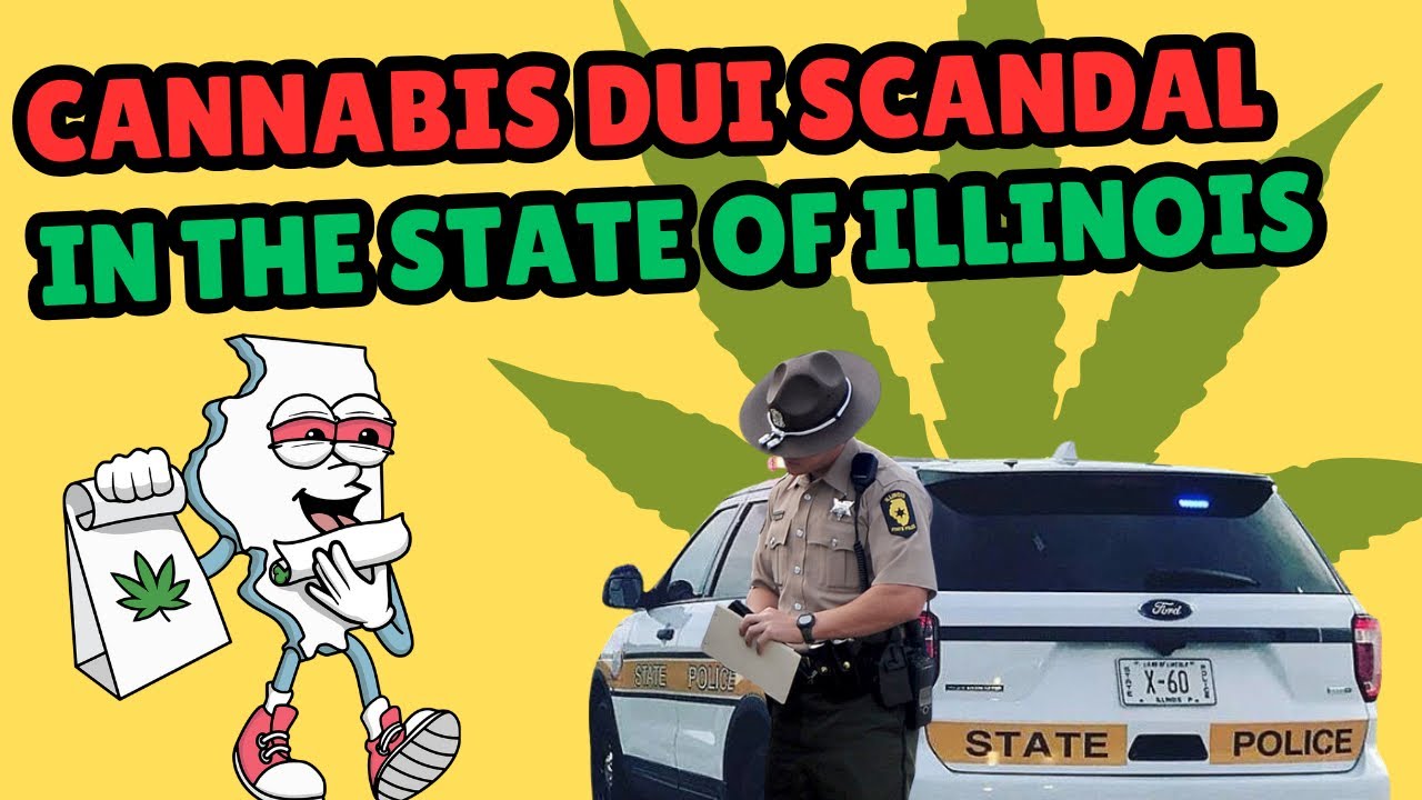 Illinois Cannabis DUI Scandal: Flawed Tests and False Convictions