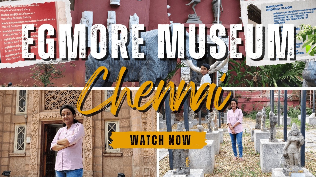 Egmore Museum in Chennai || Kids Summer Holiday Spot ||  Government Museum || Best Experience Place
