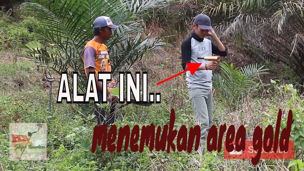 mencari emas di tanah - menggunakan AKS metal detector USA