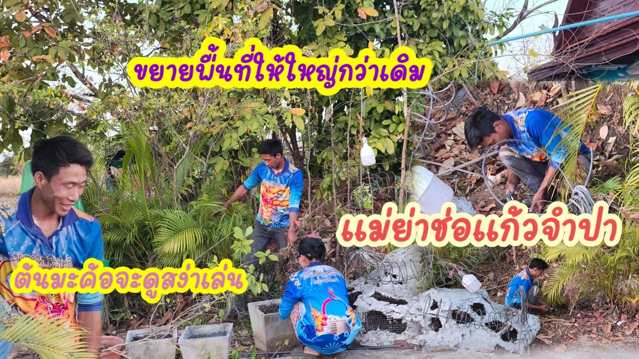 ขยายให้ใหญ่กว่าให้ใหญ่กว่าเดิมมีชื่อแม่ย่าช่อแก้วจำปา