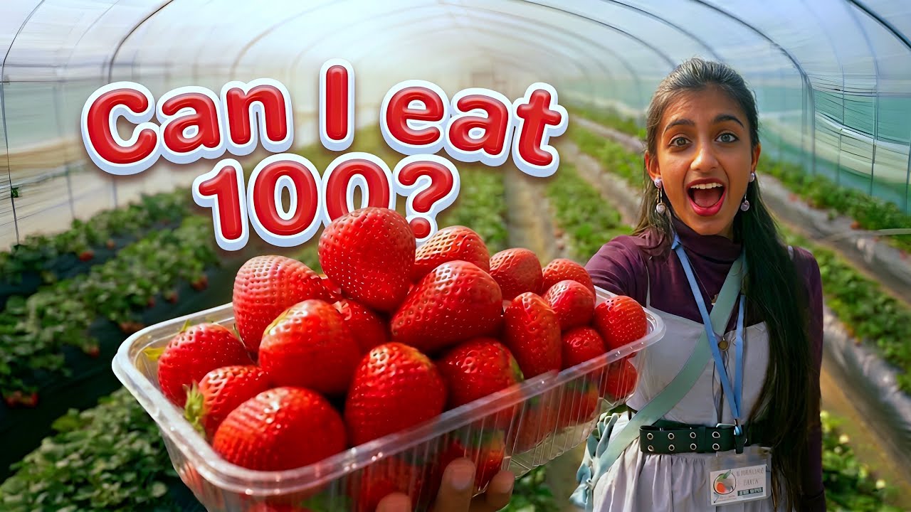 The Farm said “Unlimited” with NO TIME LIMIT?!🍓