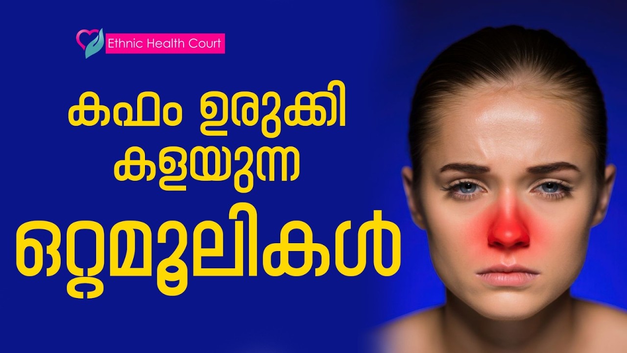 കഫം ഉരുക്കി കളയാൻ ഒറ്റമൂലി.!! | Ethnic Health Court
