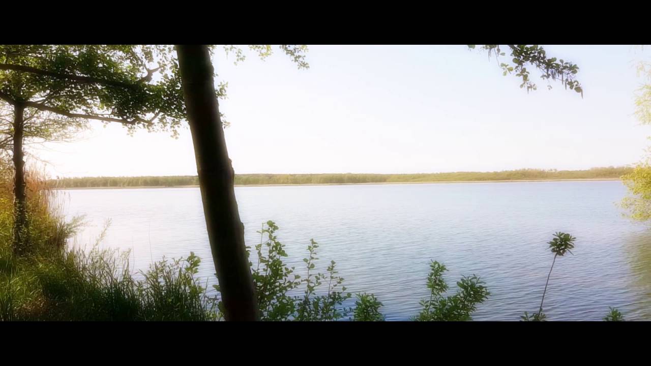 Gro&szlig;er Teich Torgau 2016