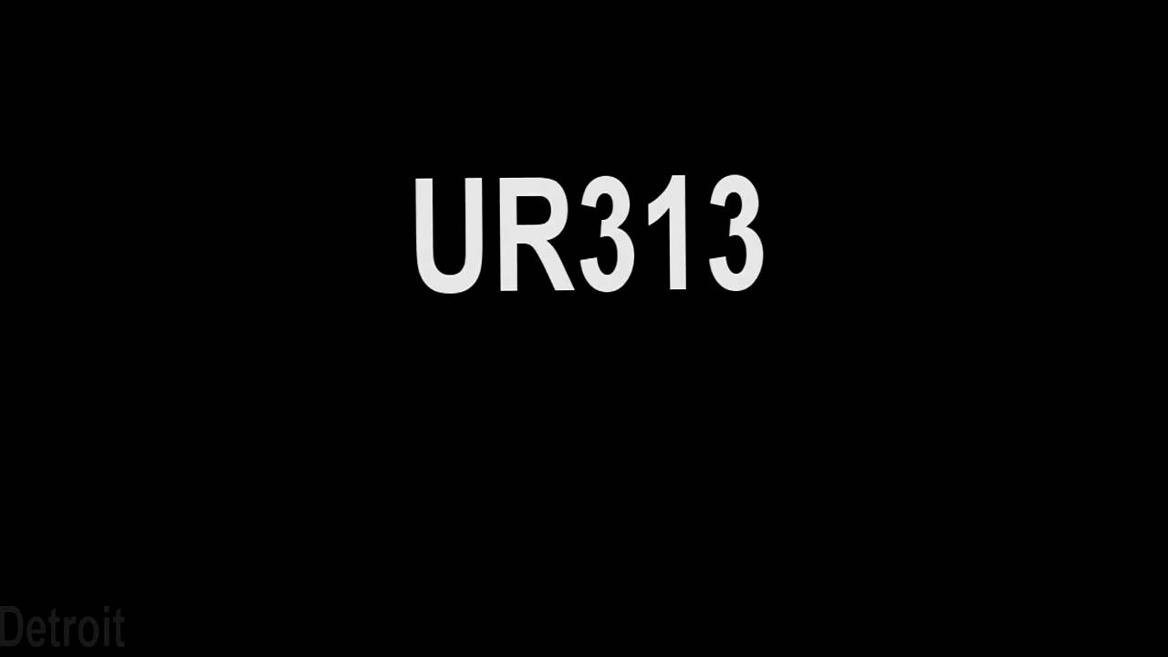 UR313