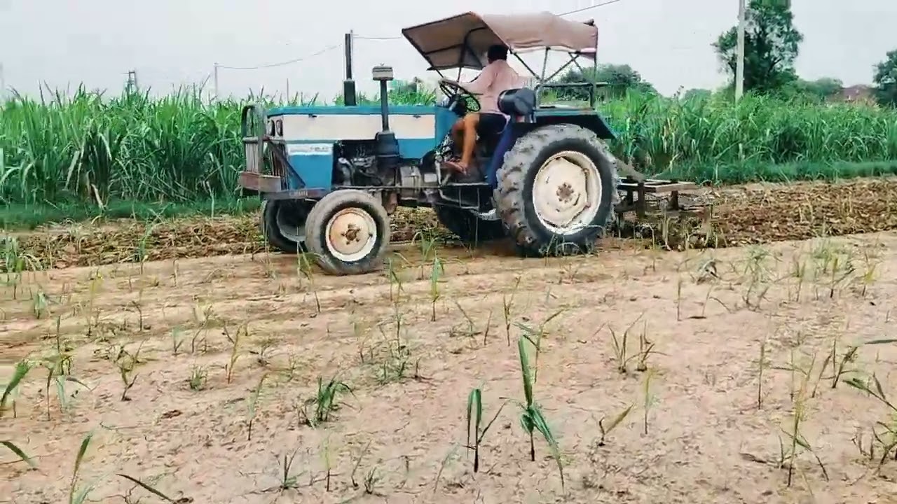 गन्ना जुताई करते हुए ट्रैक्टर से