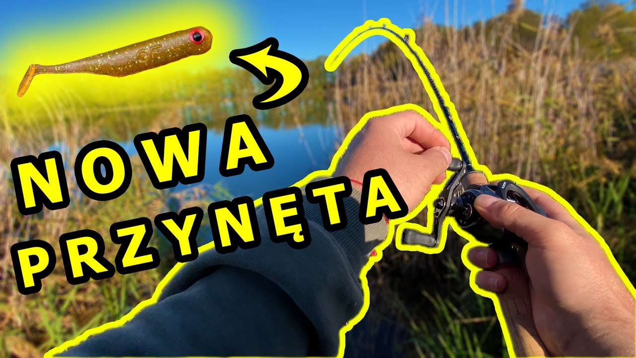 GREAT FISH GF1. SPRAWDZAM PRZYNĘTĘ na moich wodach. Nie tylko OKONIE pukały :)