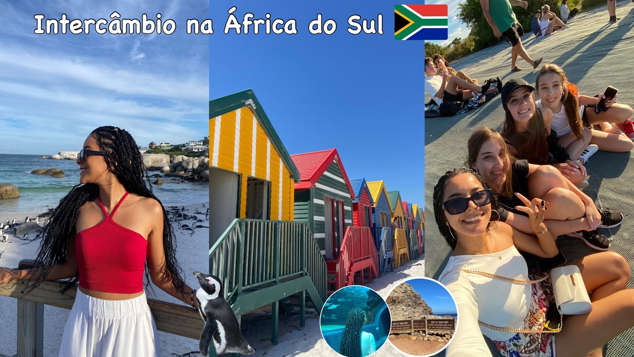 1° dia de aula, Praia dos Pinguins e Waterfront | Diário de Intercâmbio na África do Sul 🇿🇦✨