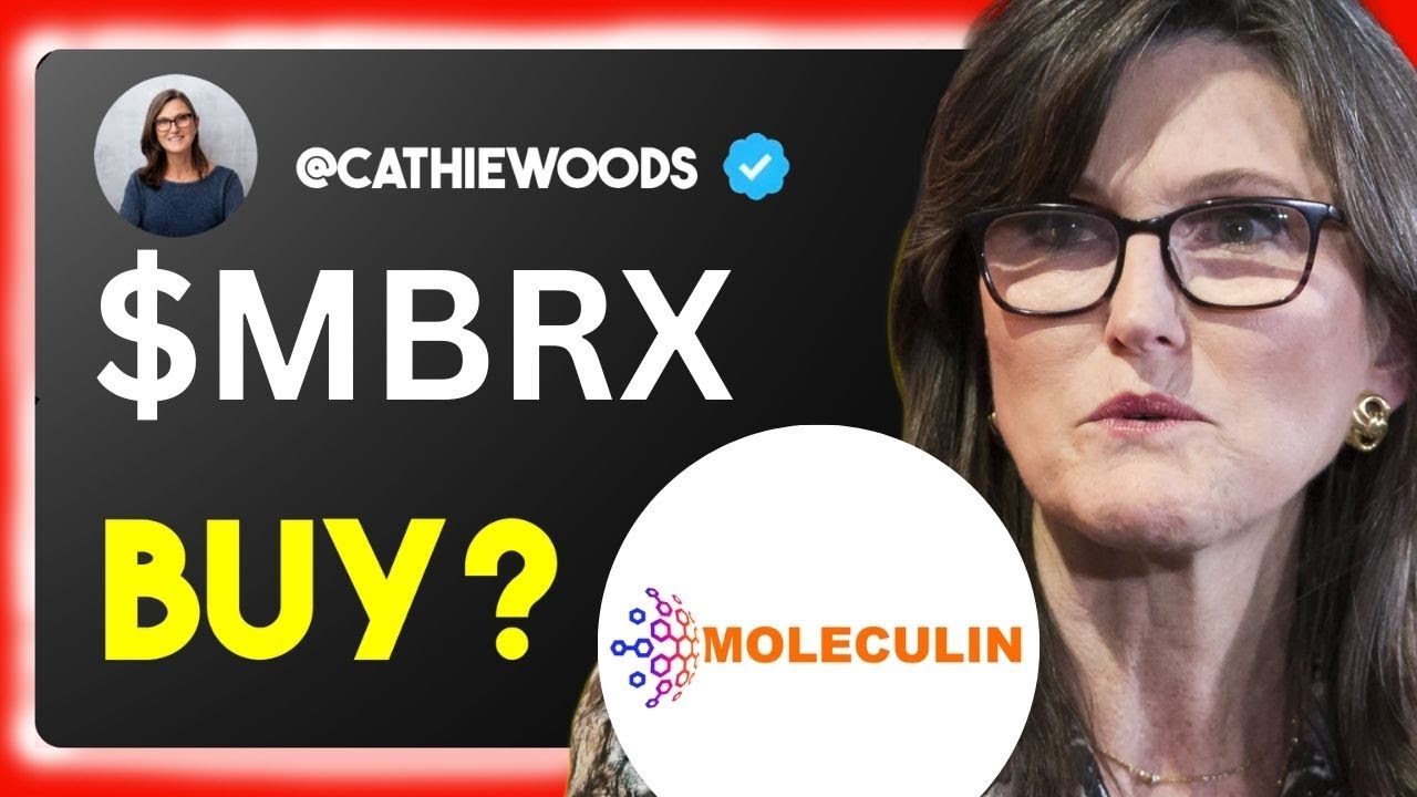 MBRX Stock FRIDAY CRAZY! (what's next?) Moleculin Biotech stock analysis stock trading brokers