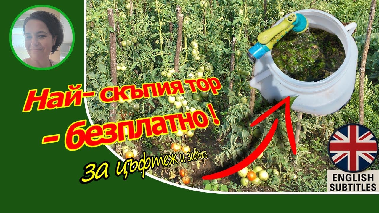 Тор от водорасли: тор, който прави растенията по-силни.