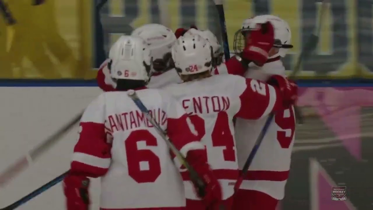Toronto Bulldog vs Detroit 20240705 Brick Game 36