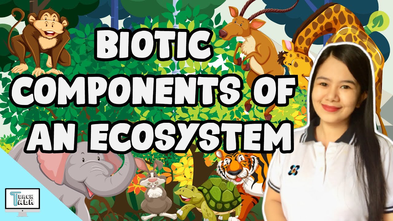 Biotic Components of an Ecosystem | Biology
