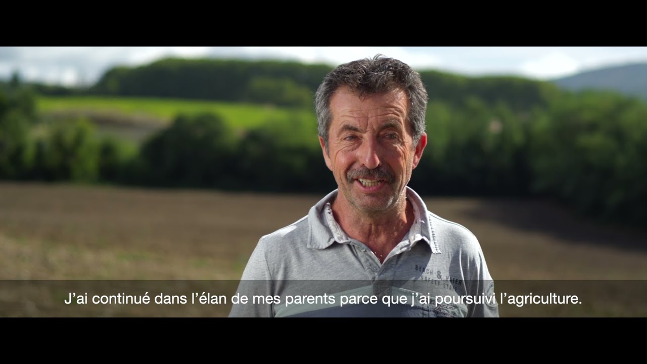 La Culture du Melon Charentais par un agriculteur du Luberon