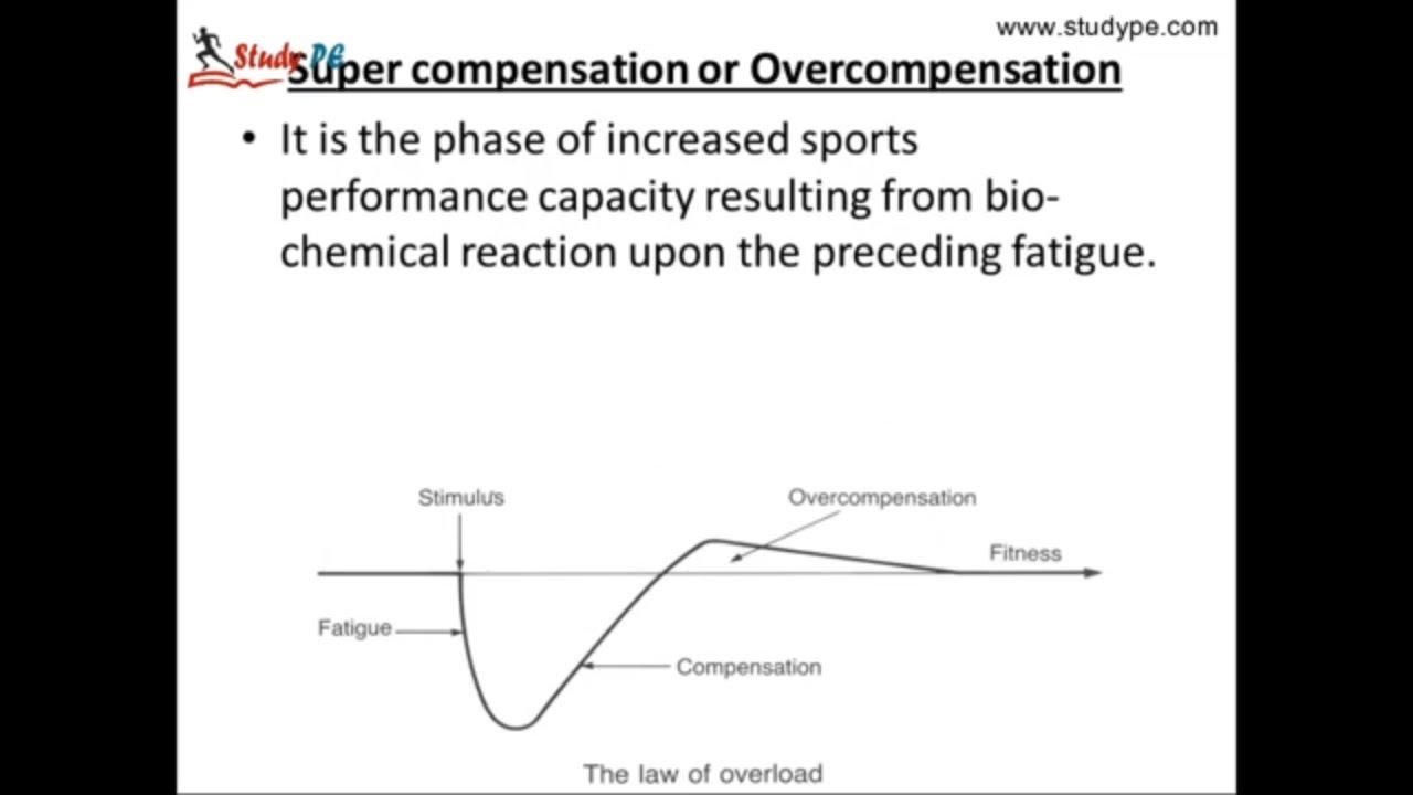 Training Load and Adaptation