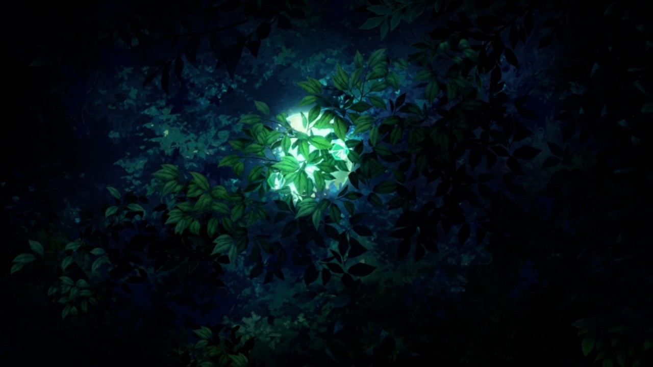 Forest
