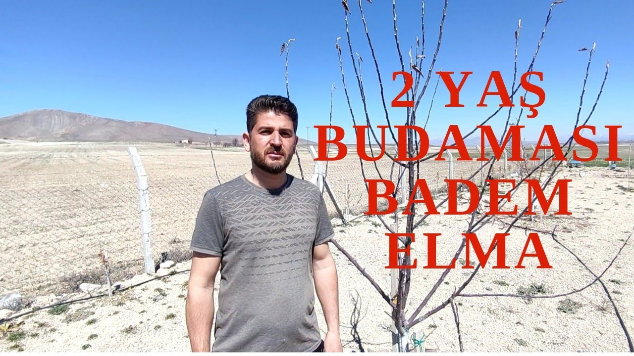 2 Yaş Badem ve Elma Budaması
