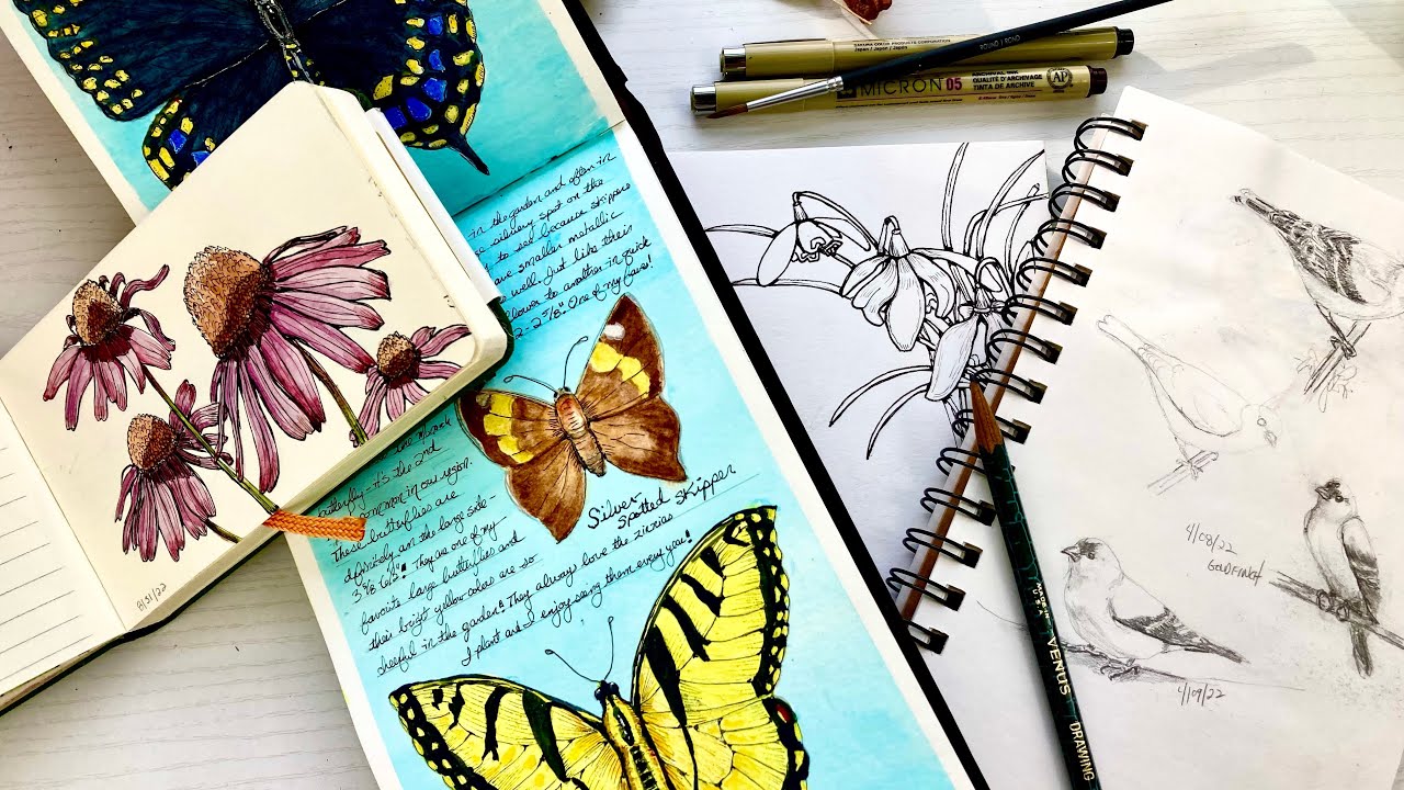 3 Reasons To Start a Nature Journal