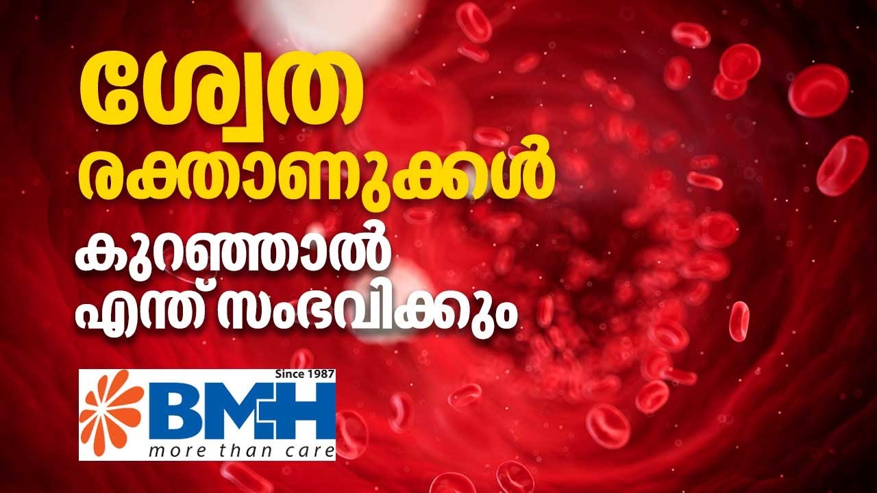 രക്തത്തെ ബാധിക്കുന്ന അസുഖങ്ങളും പരിഹാരങ്ങളും | Baby Memorial Hospital | Saukhyam | EP 08