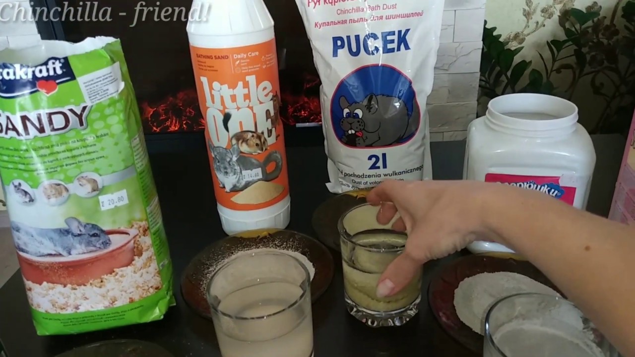 Песок для шиншилл, какой выбрать 🤔