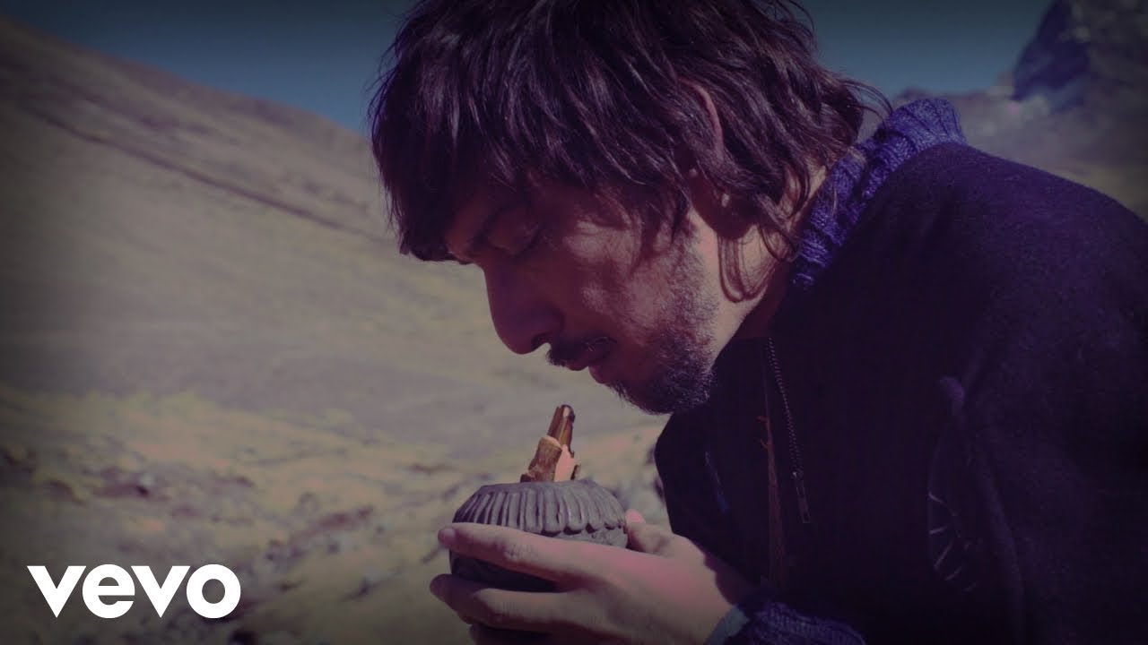 León Larregui - Birdie
