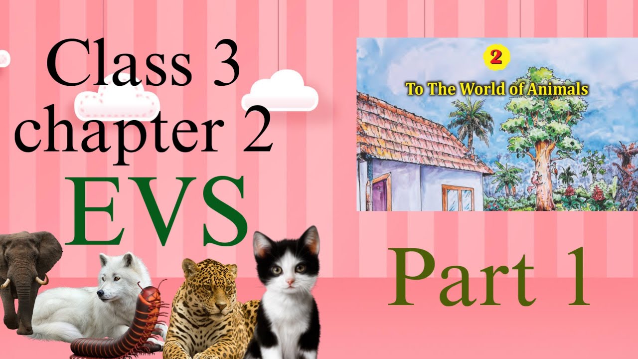 Class 3 Basic Science Chapter 3 | To the World of Animals | Kerala Syllabus 2025 |#evs#class3 