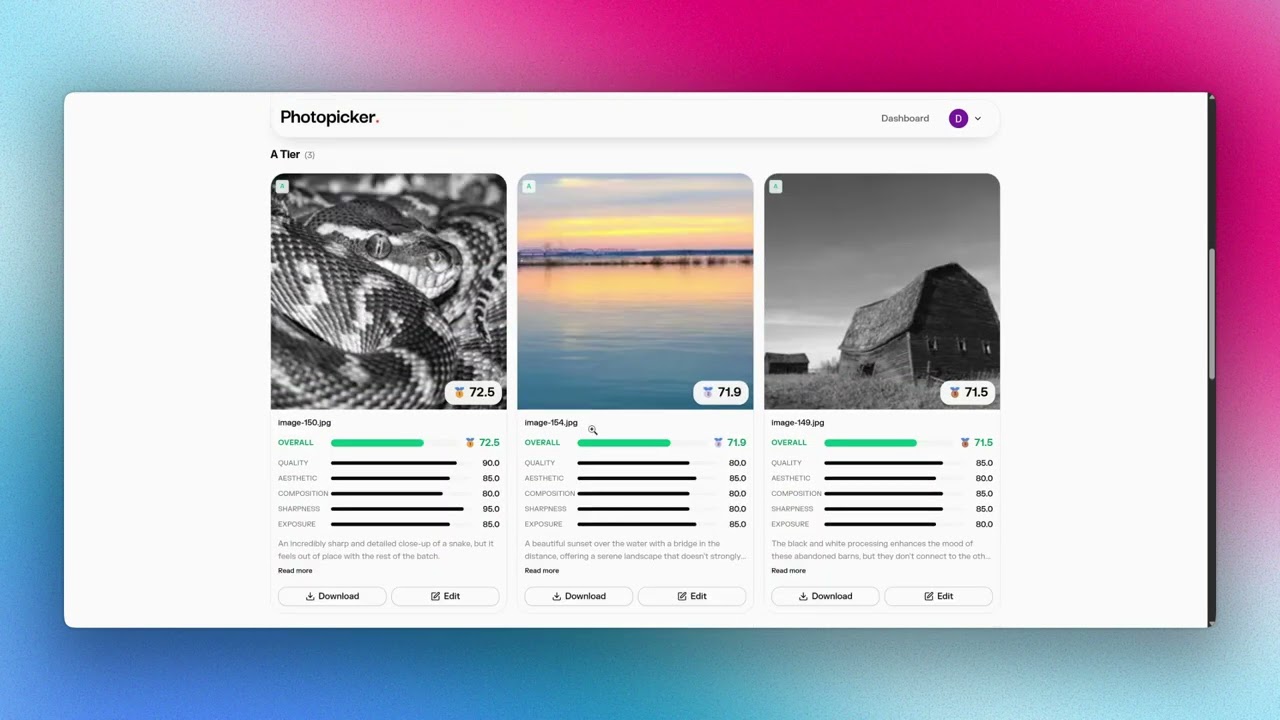 How to use AI to cull 500+ photos