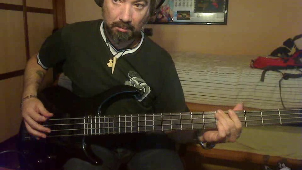 Salve - La Polla Records - Bajo - Cover - HD