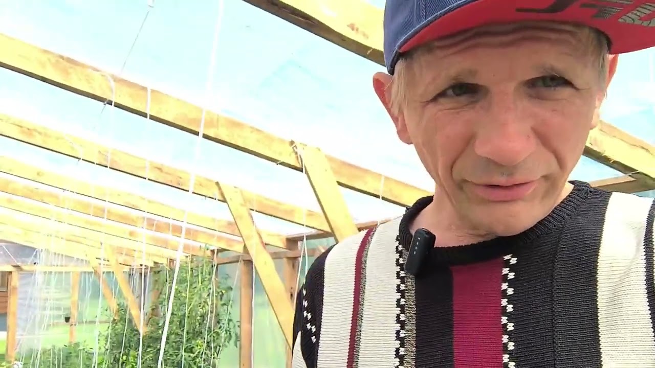 Сочащийся шланг( плачущий). #теплица #поливтеплиц